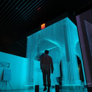 SZKIELET WEWNĘTRZNY